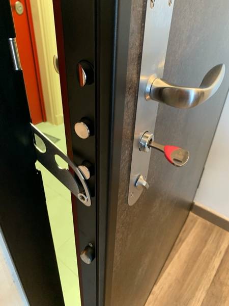 Porte Anti-Vandale sur Paumelles ou Pivots installation à Carry le rouet